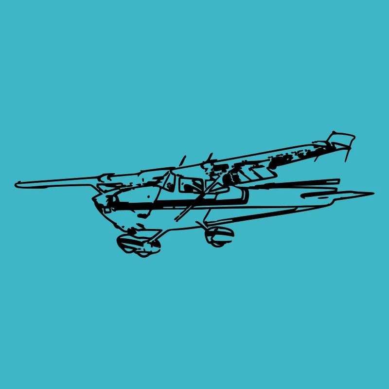 Petit avion