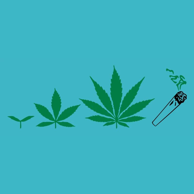 Cannabis development