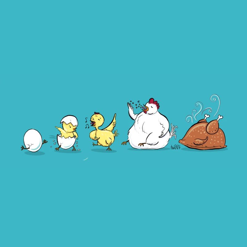 Evolution Of Chicken