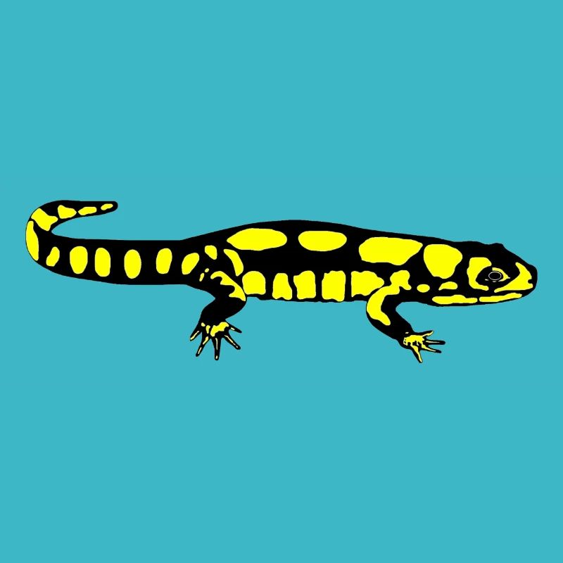 Salamander