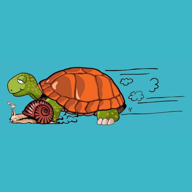turtle snail race speed drawing humor