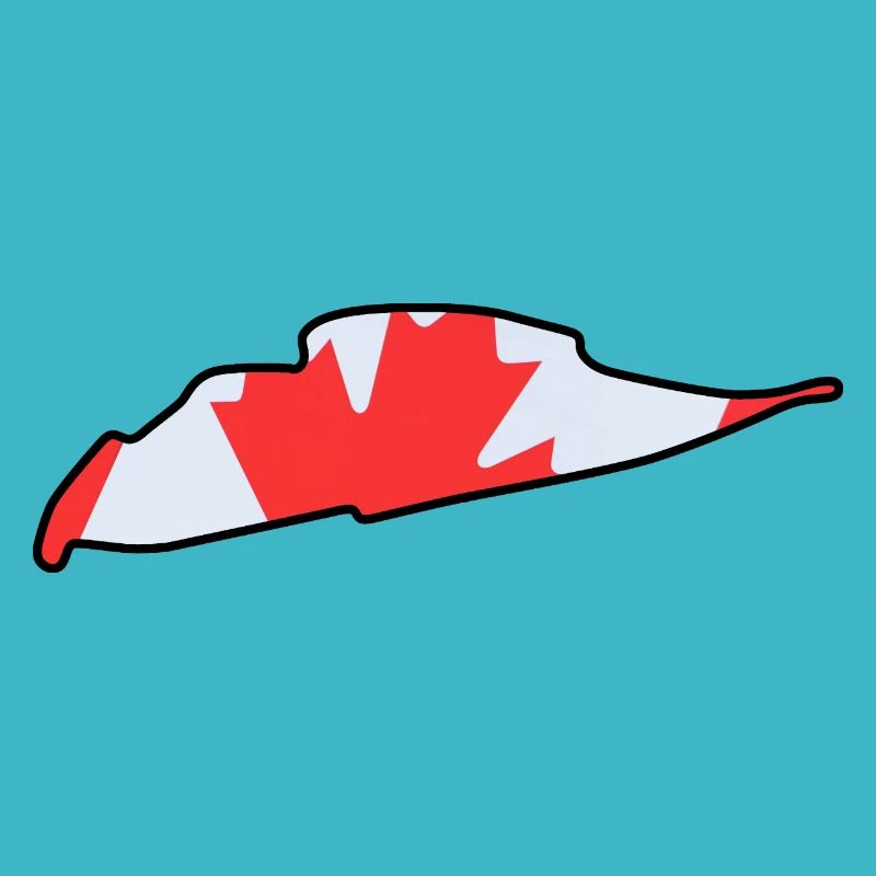 Piste de course du Canada avec drapeau