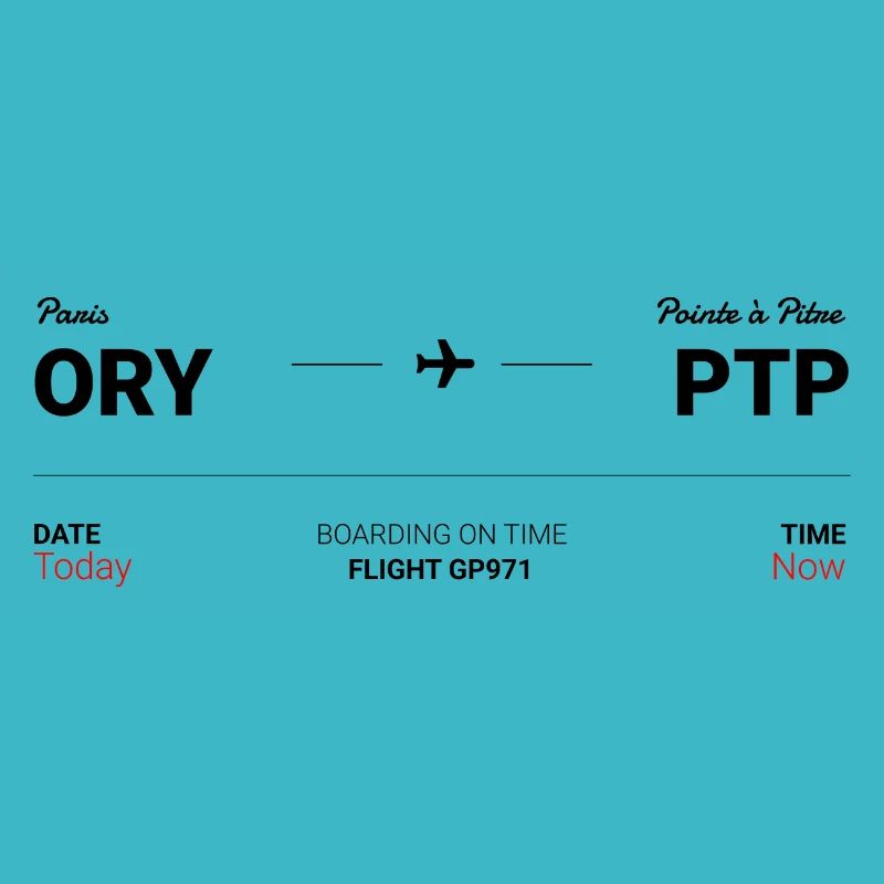 Paris - Pointe à Pitre