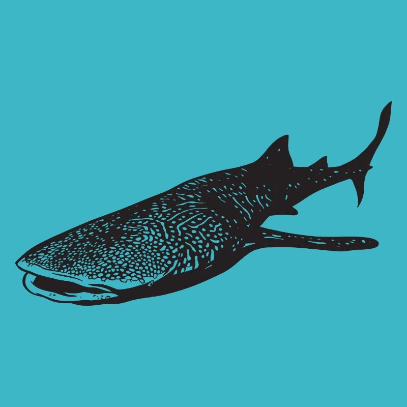 Requin-baleine