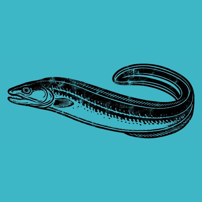 Eel - Fish - Angler Gift