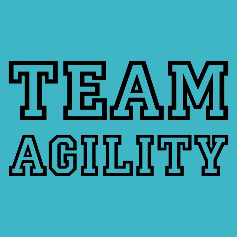 Agilité d'équipe