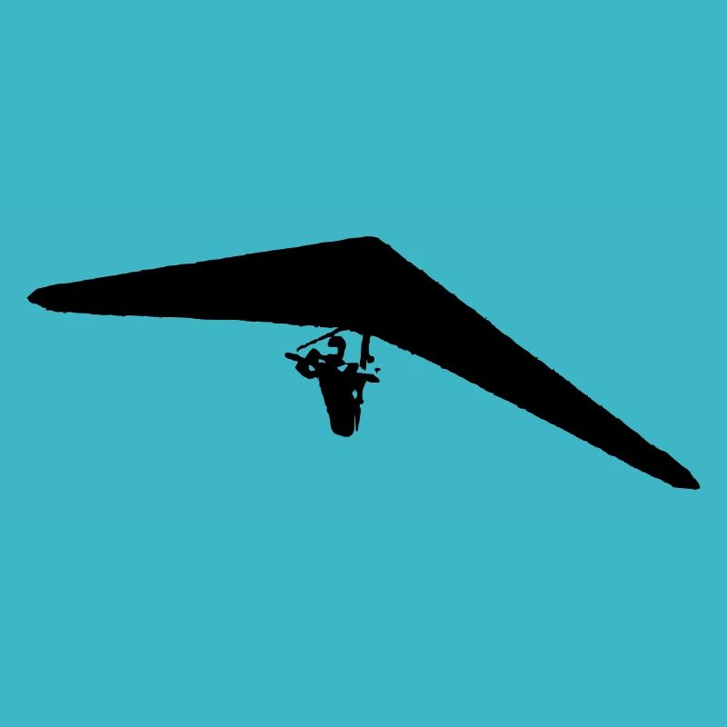 Hang glider
