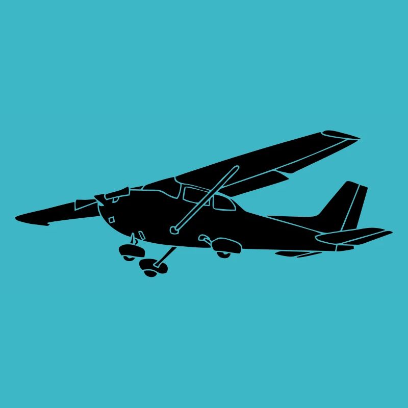 c172 airplane pilot powered airplane powered airplane