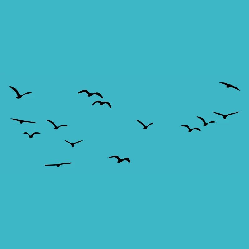 Oiseaux Oiseaux Oiseaux