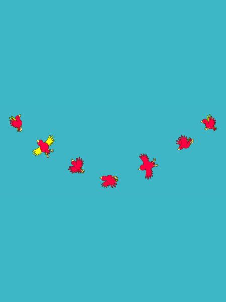 Birdies