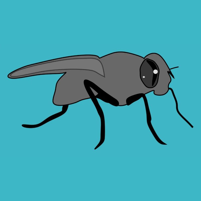 Fliege