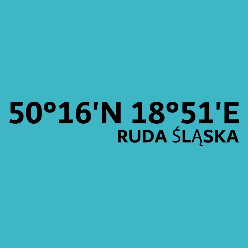 Coordonnées de Ruda Śląska