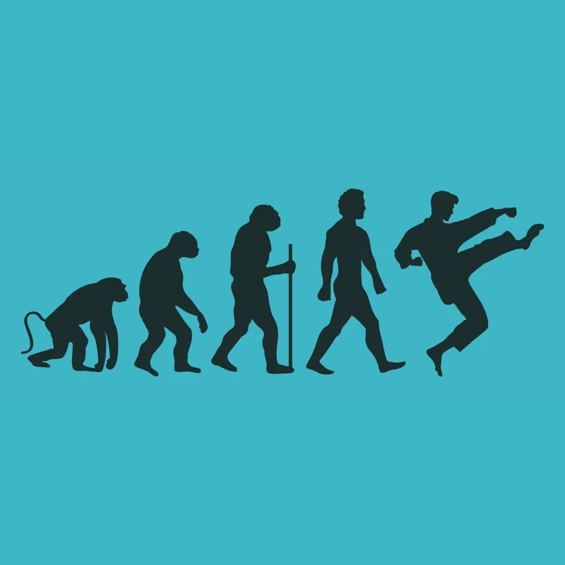 Karate Evolution