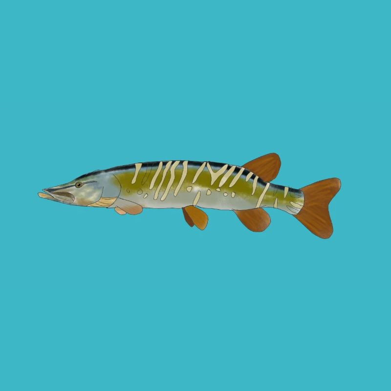 Image graphique du brochet poisson design logo poisson brochet