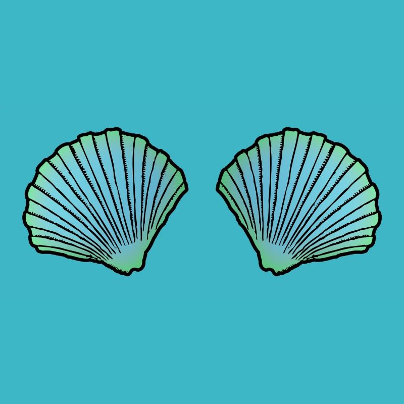 mermaid shell bra bikini beach