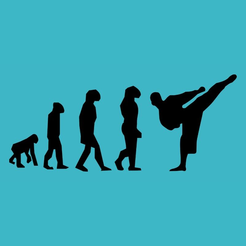 Karate Evolution