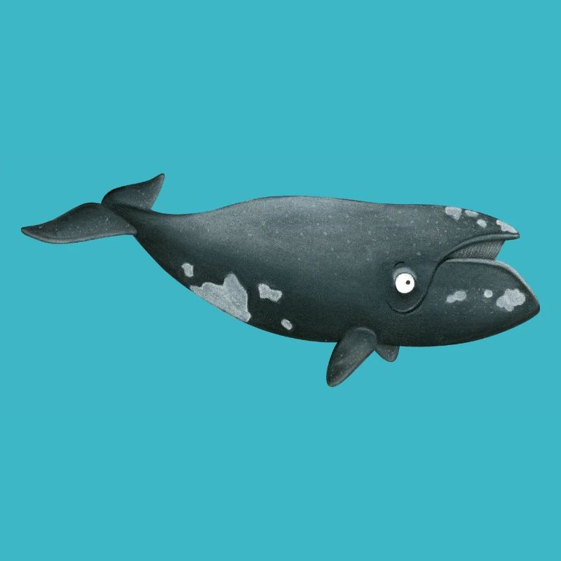 baleine franche
