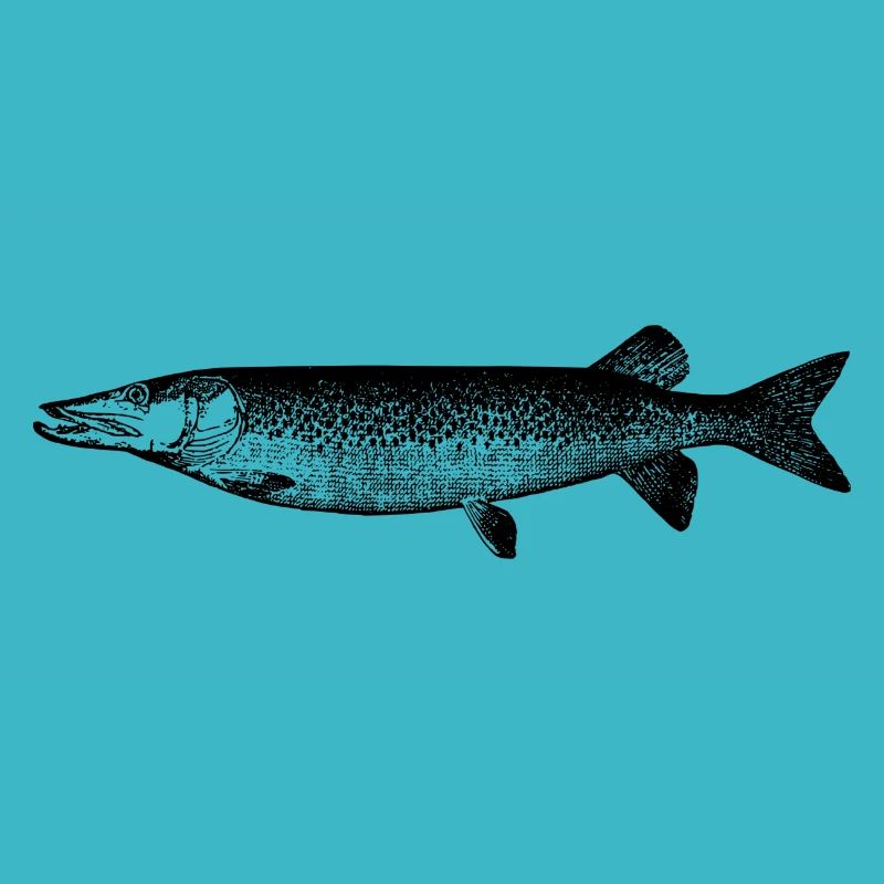 fish111