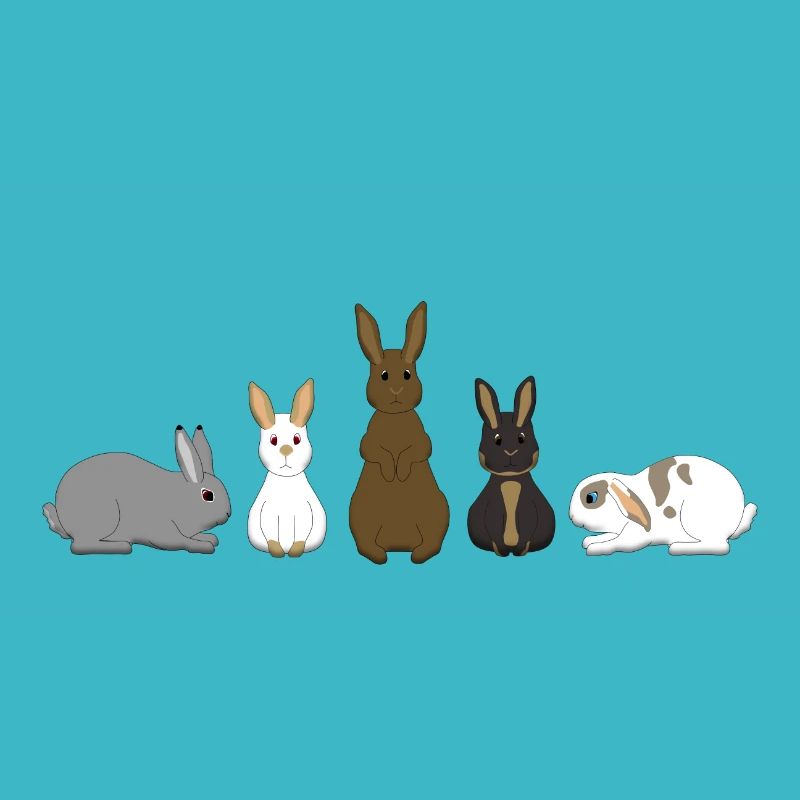 5 Lapin