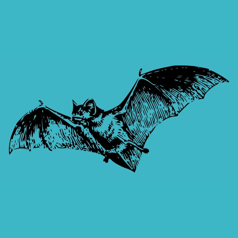 Bat
