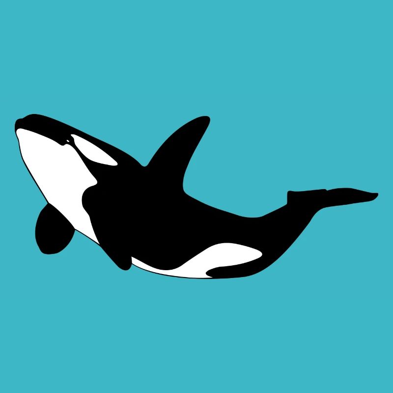 Orca