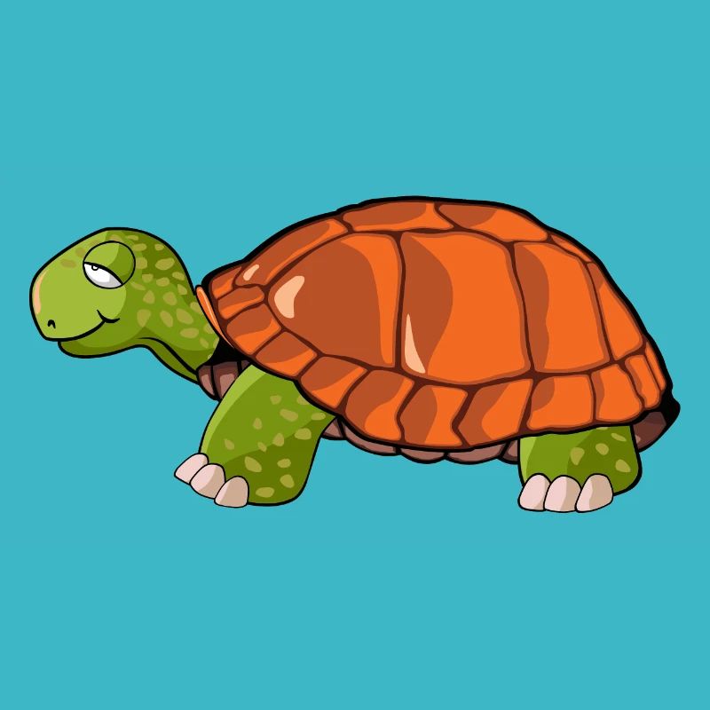 Schildkröte Zeichnung