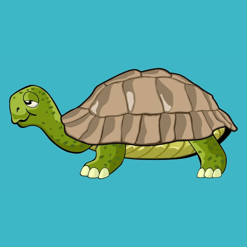 turtle drawing