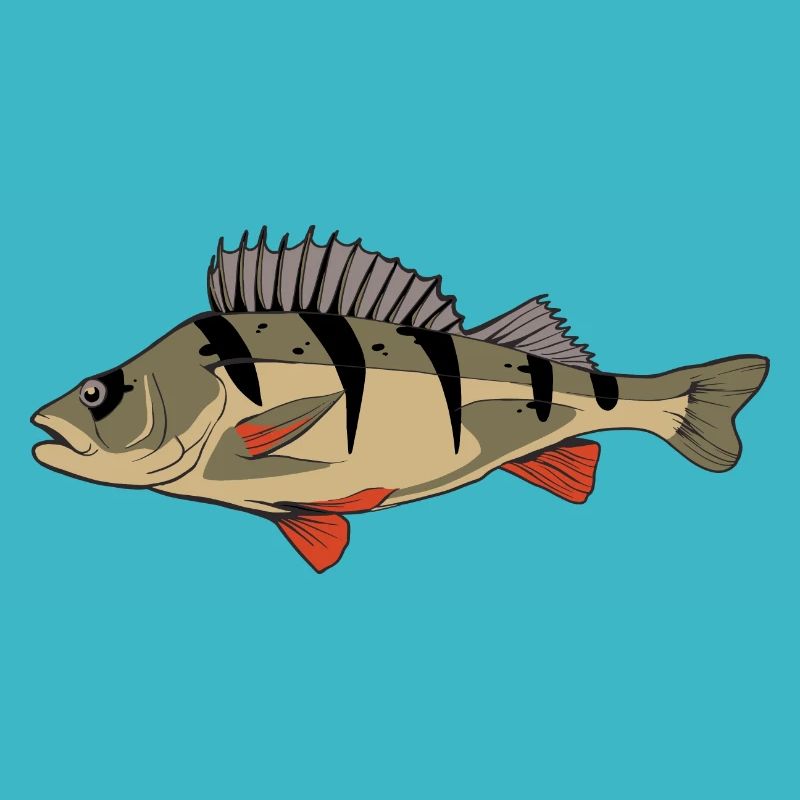 Perche Perche Perche Perche Pêche Kretzer