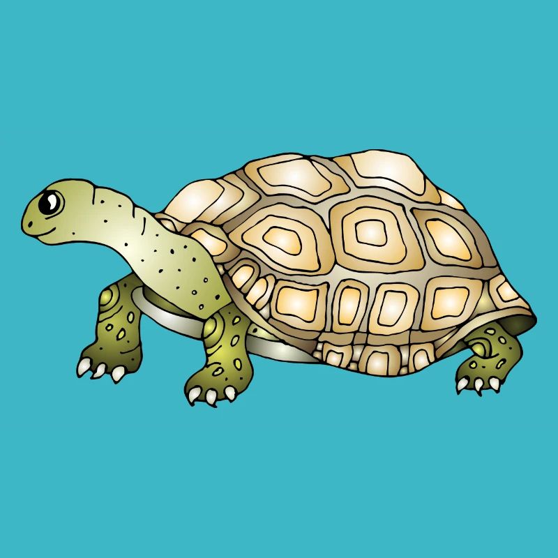 Schildkröte