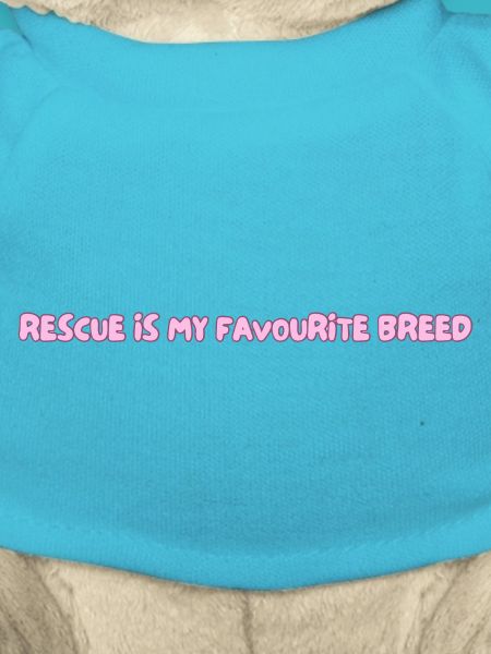 rescue is my favourite breed