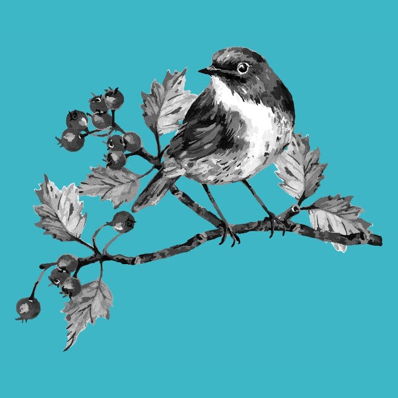 oiseau