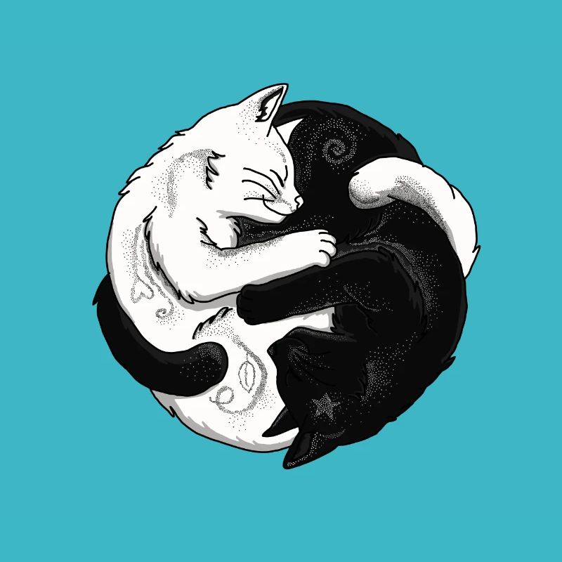 Deux chats, équilibre,blanc, noir