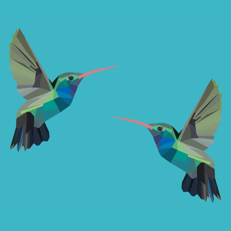 Colibri oiseau oiseaux polygone perruche cadeau