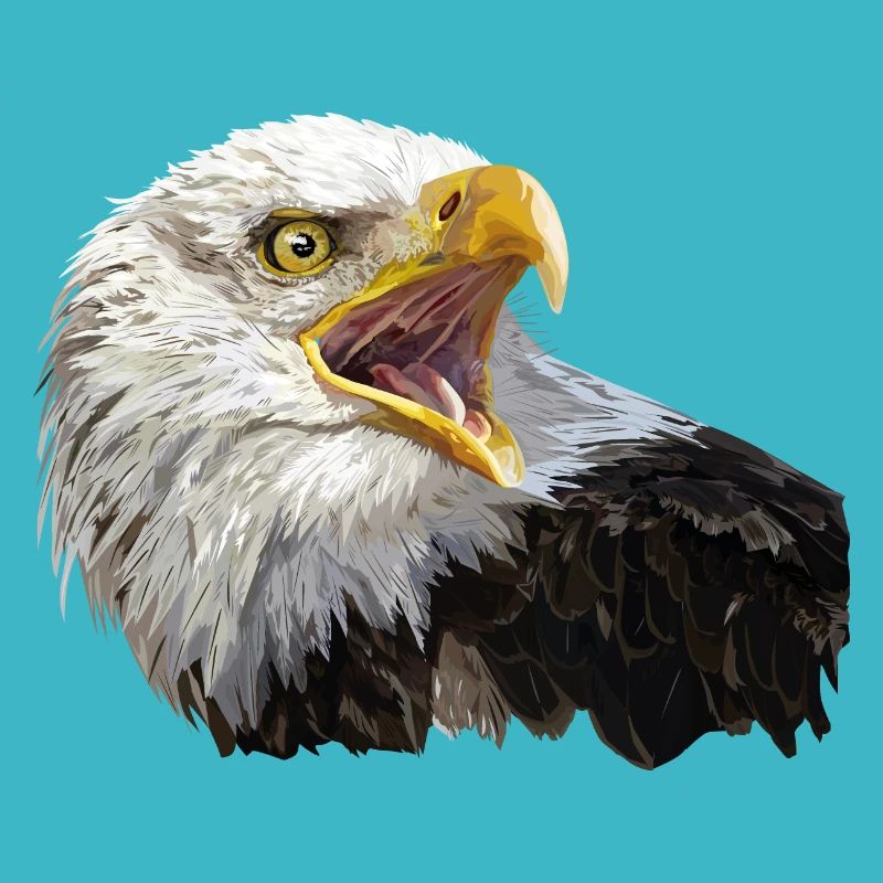 bald eagle
