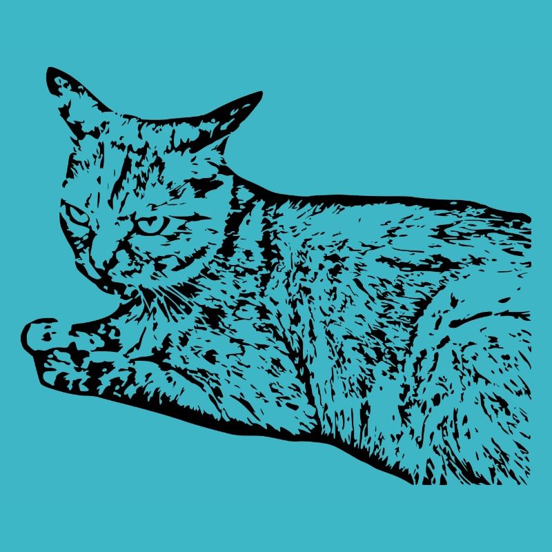 chat noir chat chaton doux cadeau de Noël