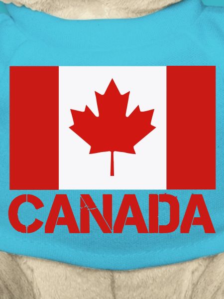 Maple Leaf Canada Flag Art