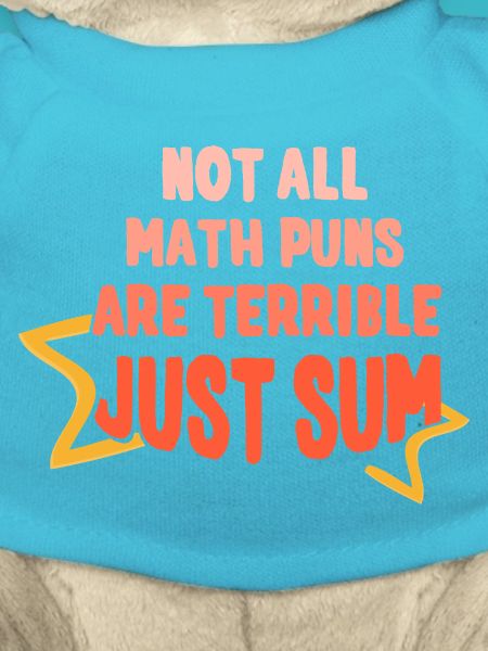 Funny Math Sayings Math Teacher