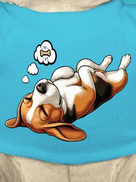 Beagle Beaglebesitzer Beaglehalter beaglehund