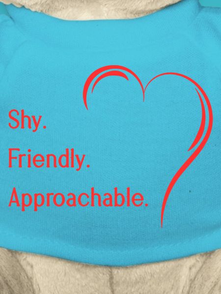 Flirting Introverts Shy Friendly Approachable