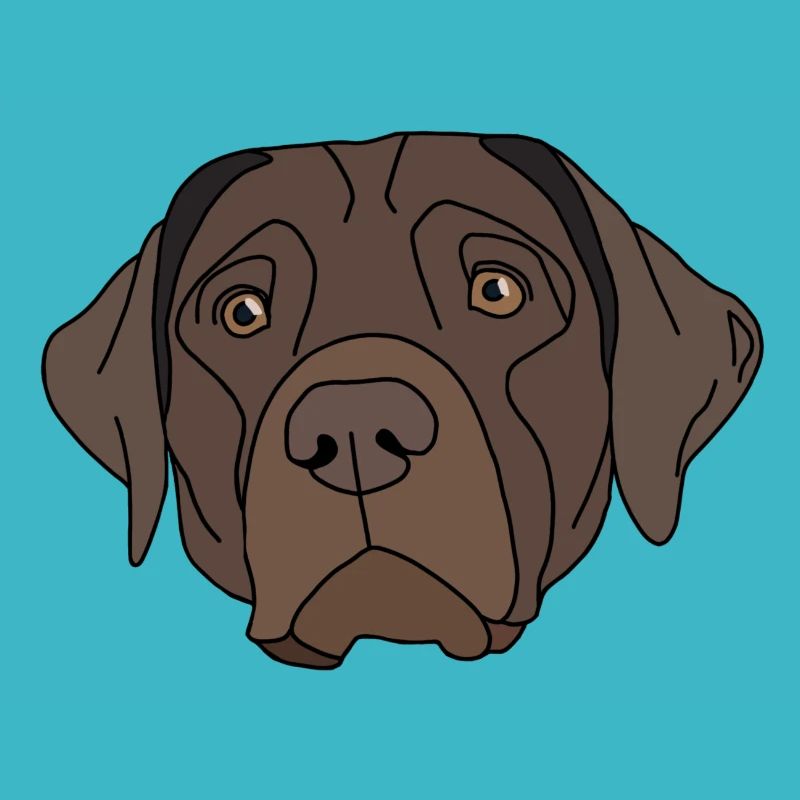 Conception de Labrador Retriever