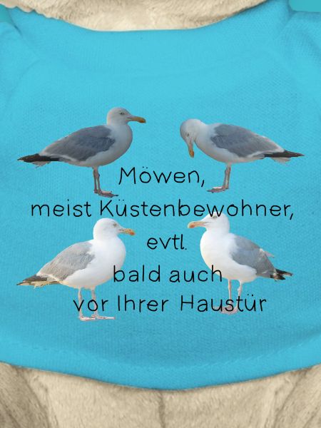 Möwen mit Spruch