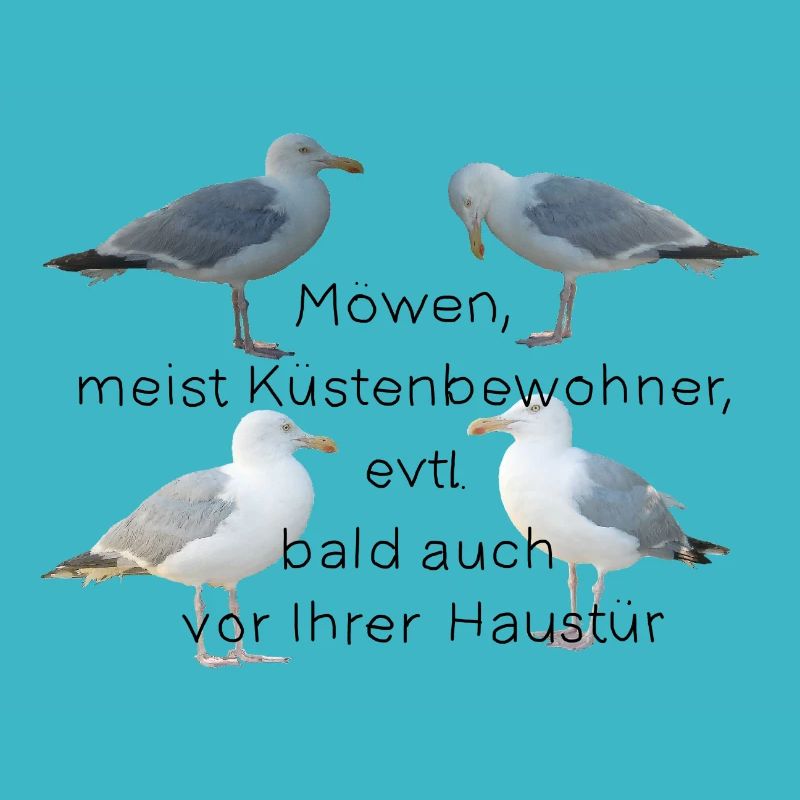 Möwen mit Spruch