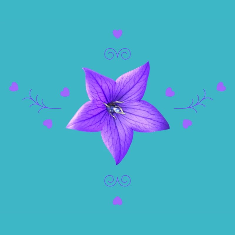 Glockenblume lila Blume