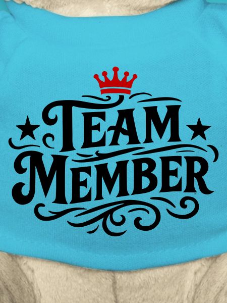 Team Member