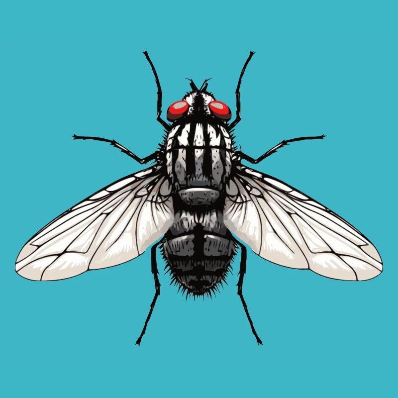 Fliege