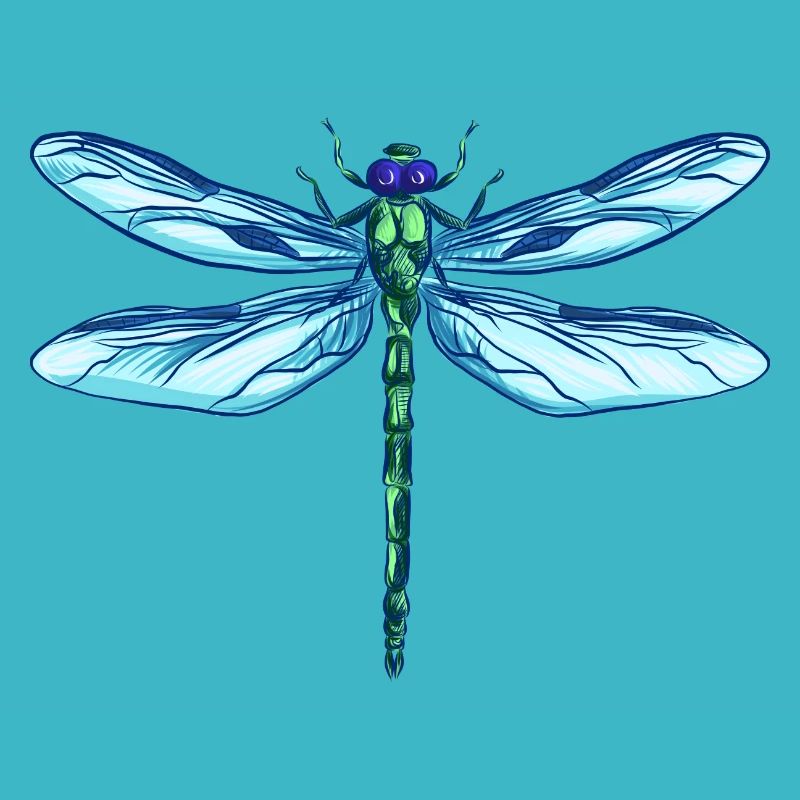 Dragonfly Libellule cadeau insecte coloré aile