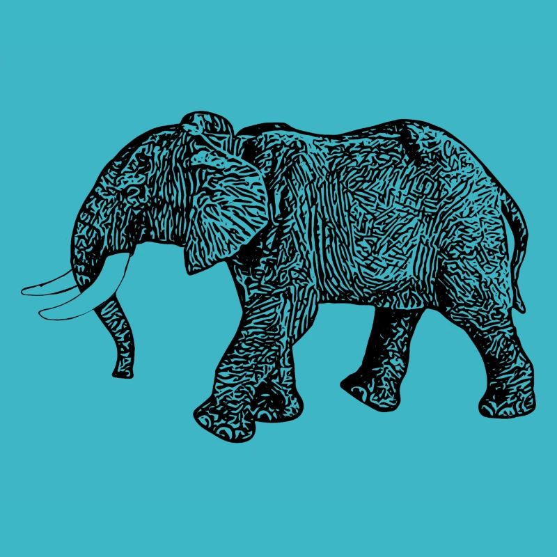 elephant