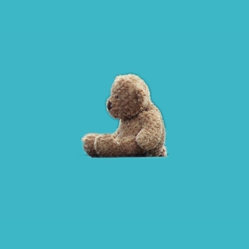teddy bear