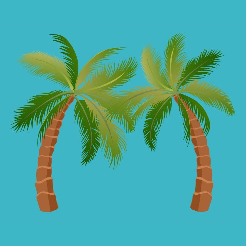 palm tree palm palms