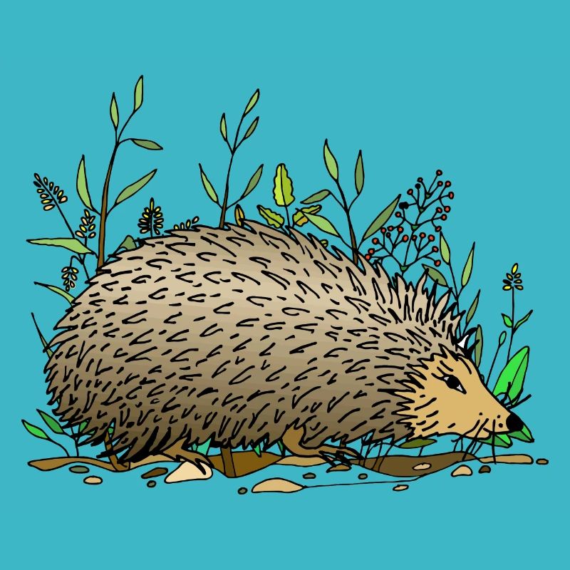 Igel
